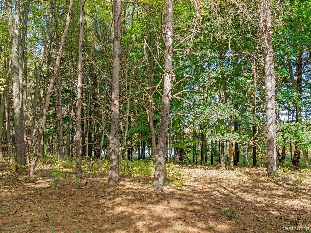 4695 Waterwood Way, Howell, MI 48855 — Photo 17