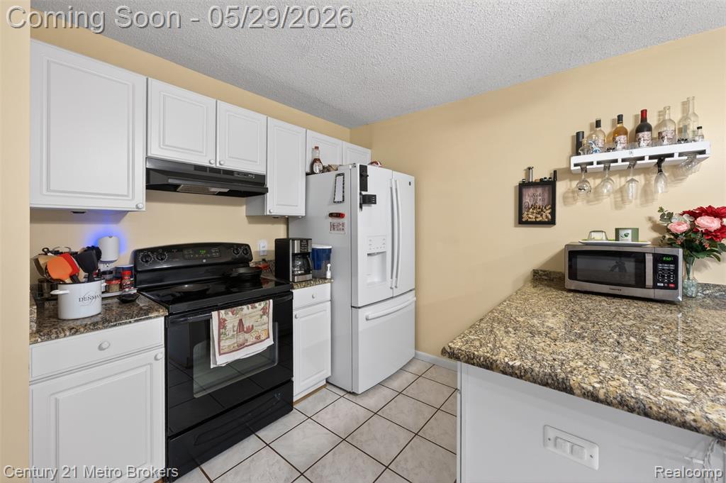 985 S Park Street, Highland, MI 48356 — Photo 28