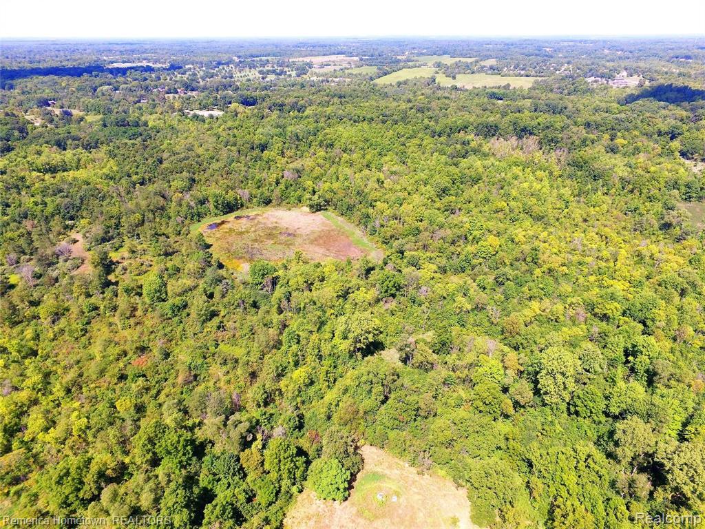 9343 FIVE MILE Road - Photo 3
