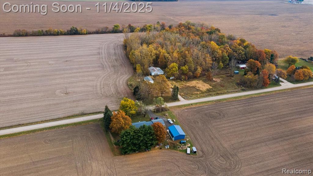 9200 Platt Road, Dundee, MI — Photo 19