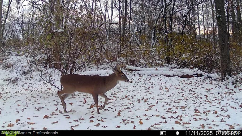 VL Rattle Run Road, St. Clair, MI 48079 — Photo 3