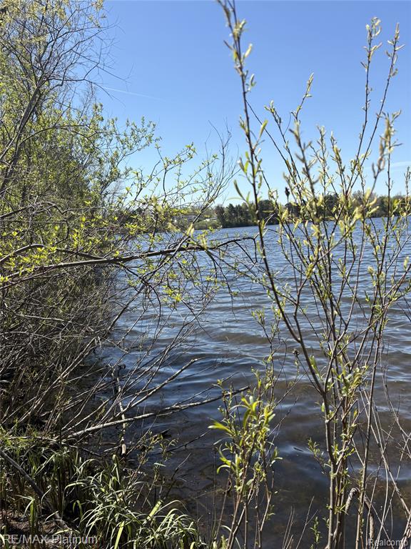 Parcel 2 Pineway Trail, Howell, MI 48855 — Photo 9