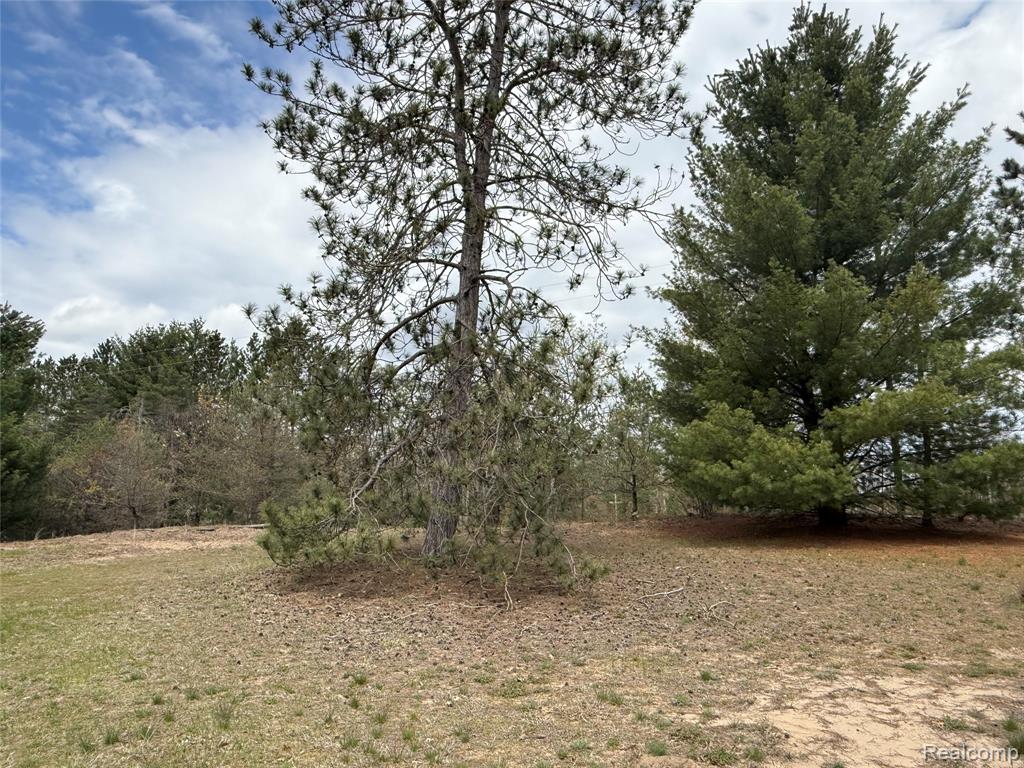 11245 Cedar Road, Lake, MI 48632 — Photo 42
