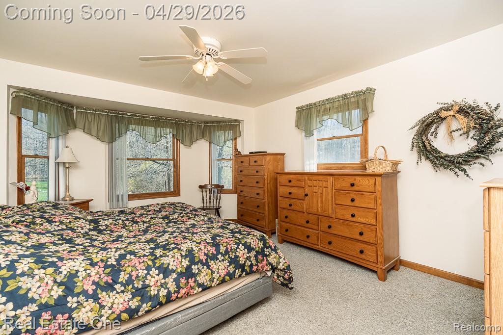 3739 Bethuy Road, Casco, MI 48064 — Photo 15