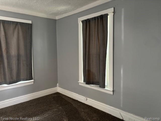 49 Orchard Street, River Rouge, MI 48218 — Photo 6