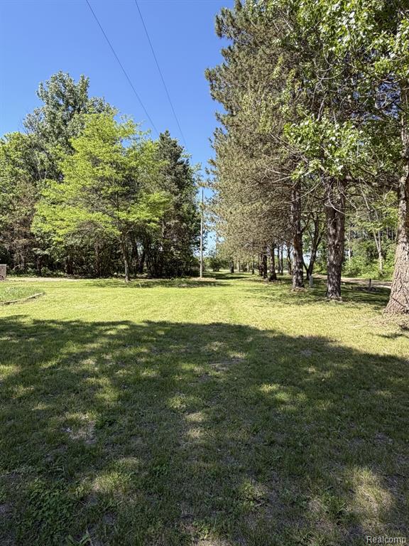 5215 Schlaud Road, North Branch, MI 48461 — Photo 25