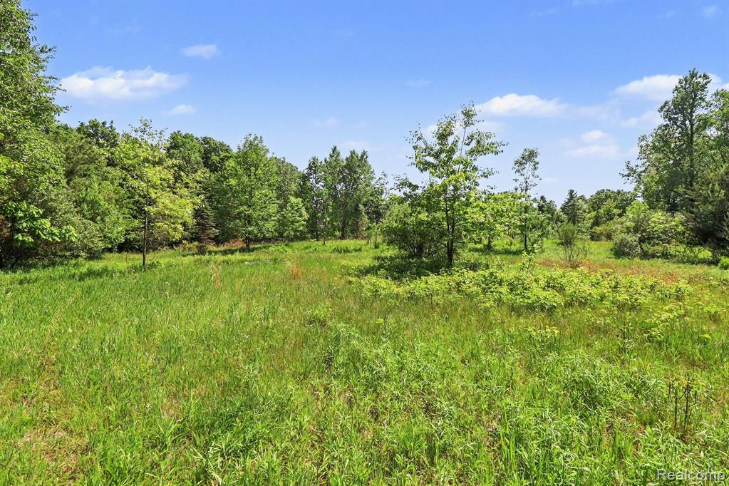 16400 Easudes Road, Grass Lake, MI 49240 — Photo 72