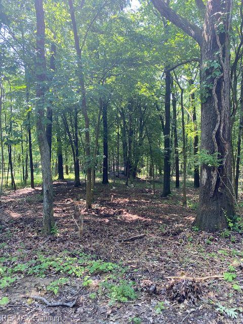 6 Sleaford-Parcel 6 - 2.1 Acres Road, Howell, MI 48843 — Photo 35