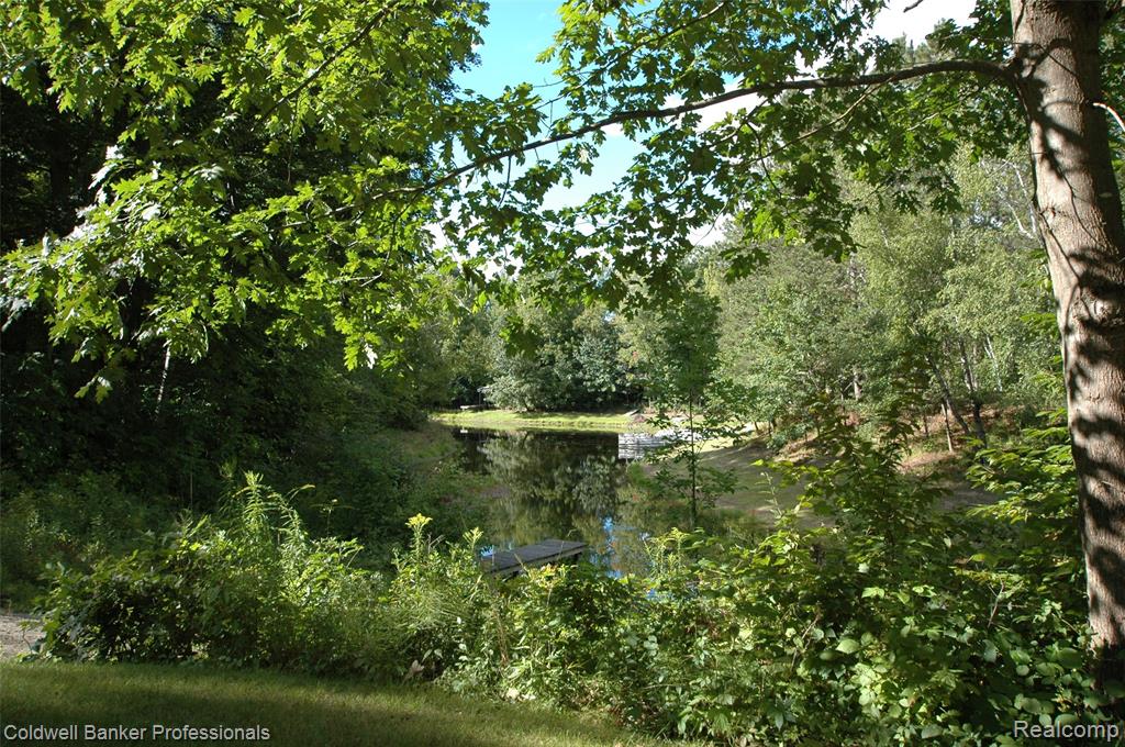 4266 River Drive NE, Gladwin, MI 48610 — Photo 14