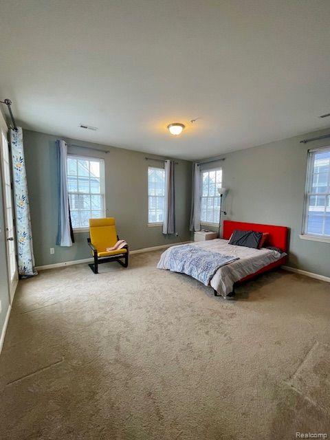 317 PATRIOT Street, Canton, MI 48188 — Photo 9
