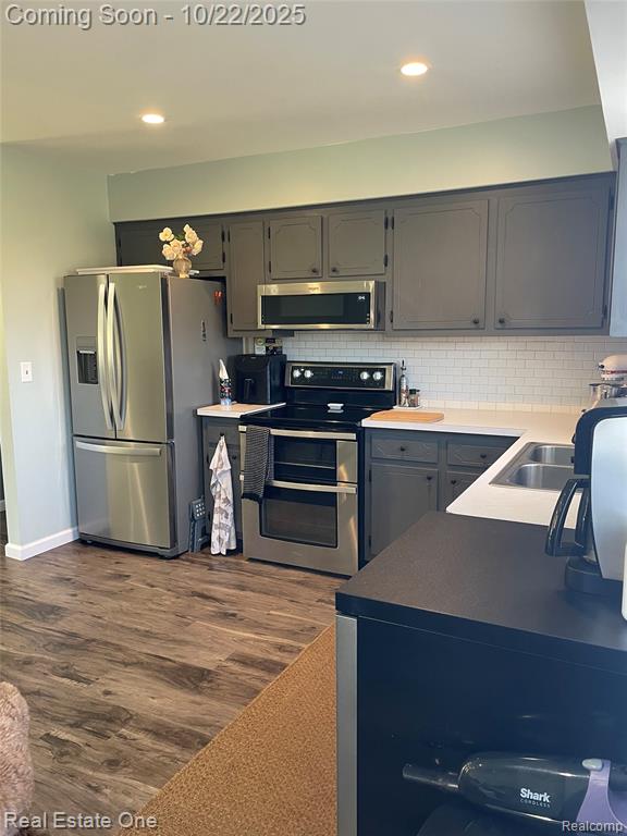 6335 Tubspring Road, Almont, MI 48003 — Photo 12