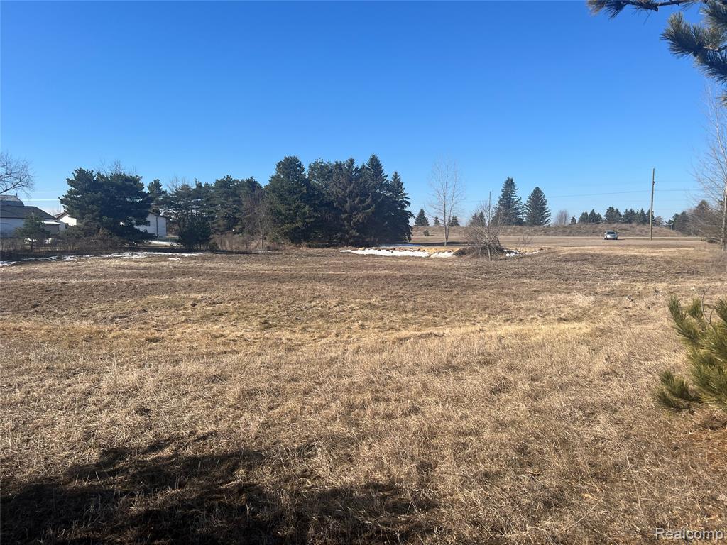 VL Mertz Rd, Mayville Vlg, MI 48744 — Photo 13