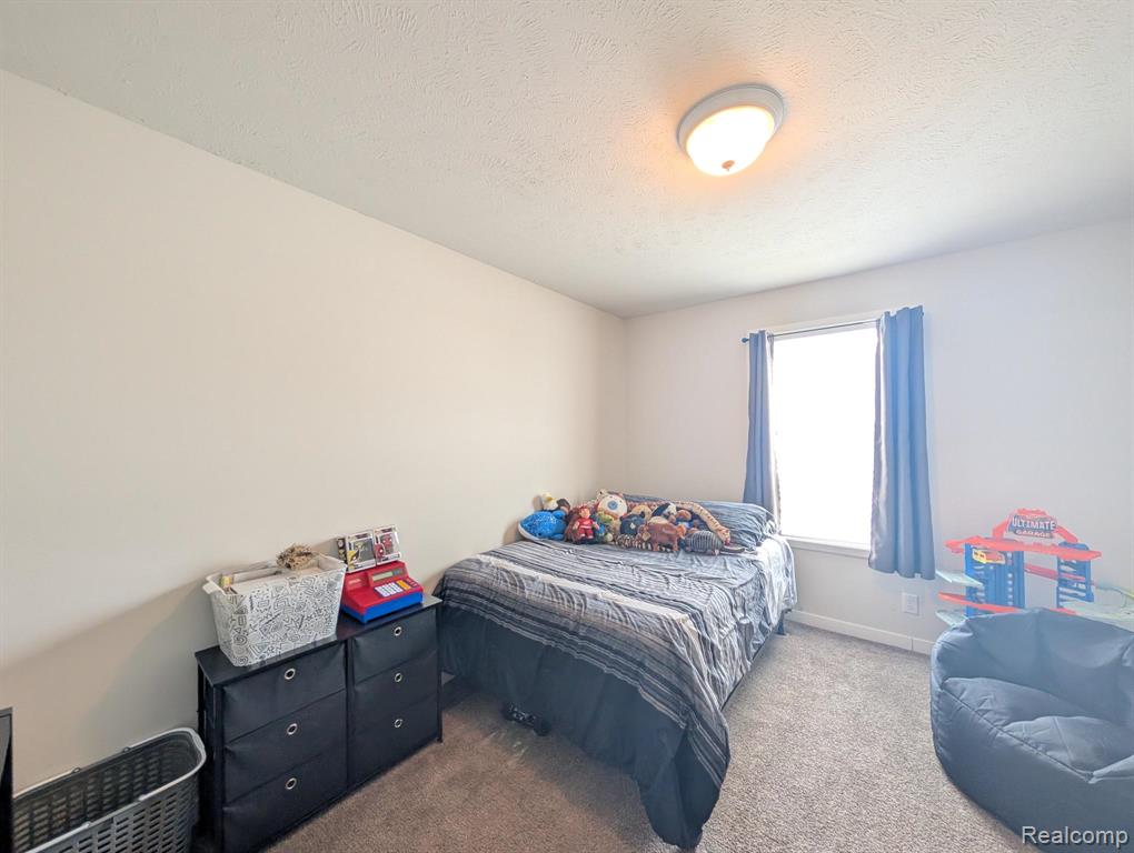 11219 Wildbrook Court, South Lyon, MI 48178 — Photo 11
