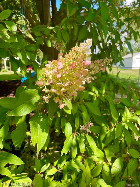 4620 Kempf Street, Waterford, MI 48329 — Photo 53