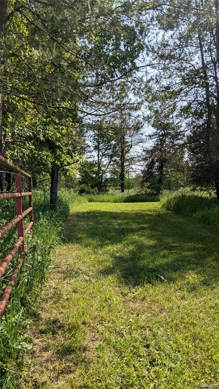 9753 W Coon Lake Road, Webberville, MI 48892 — Photo 65