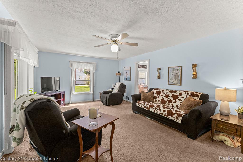 230 MECHANIC Street, Dundee, MI 48131 — Photo 6