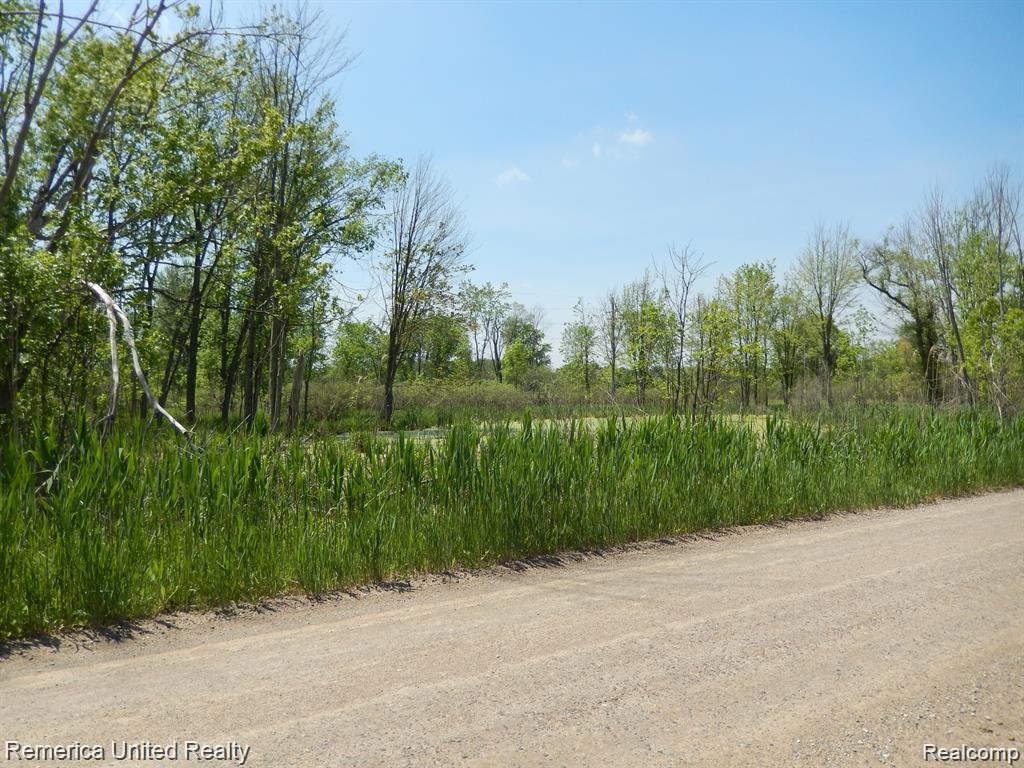 Parcel 20 Munsell Road, Howell, MI 48843 — Photo 7