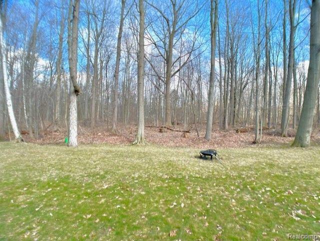 3686 E Surrey Lane, Fort Gratiot, MI 48059 — Photo 5