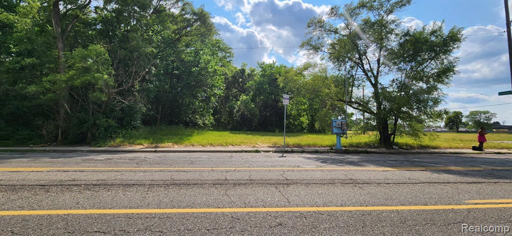 4257 MOUNT ELLIOTT Street, Detroit, MI 48207 — Photo 9