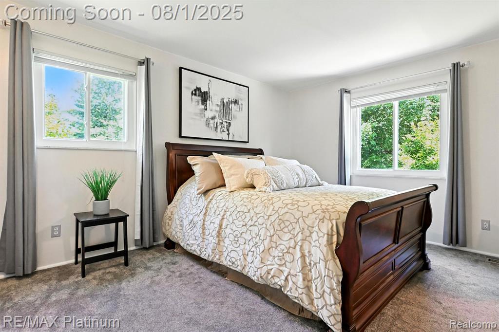 6339 Chaparral Drive, Brighton, MI 48116 — Photo 19