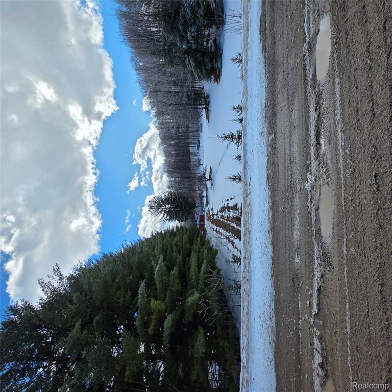 4080 Mitchell Road SE, Kalkaska, MI 49646 — Photo 6