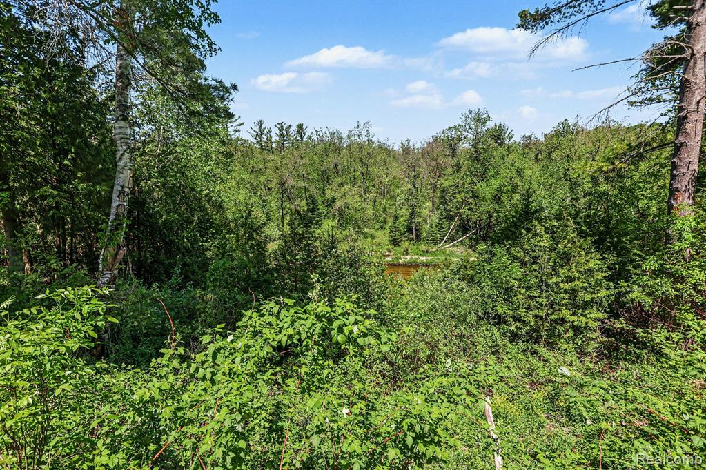 1107 Northern Trail, Alger, MI 48610 — Photo 29