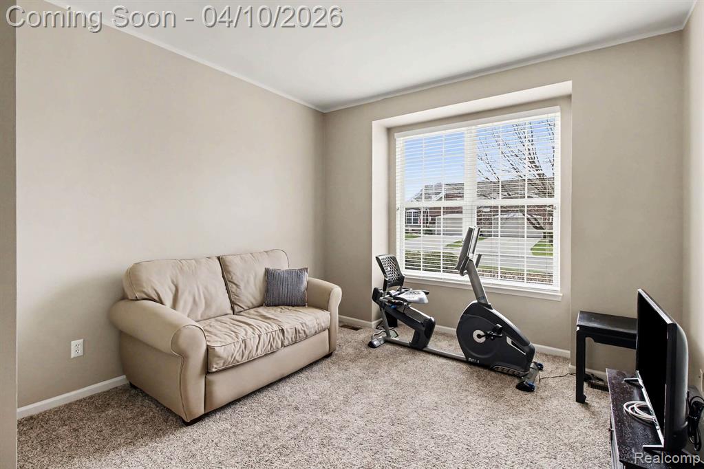 3943 Rainier Drive, Howell, MI 48843 — Photo 13