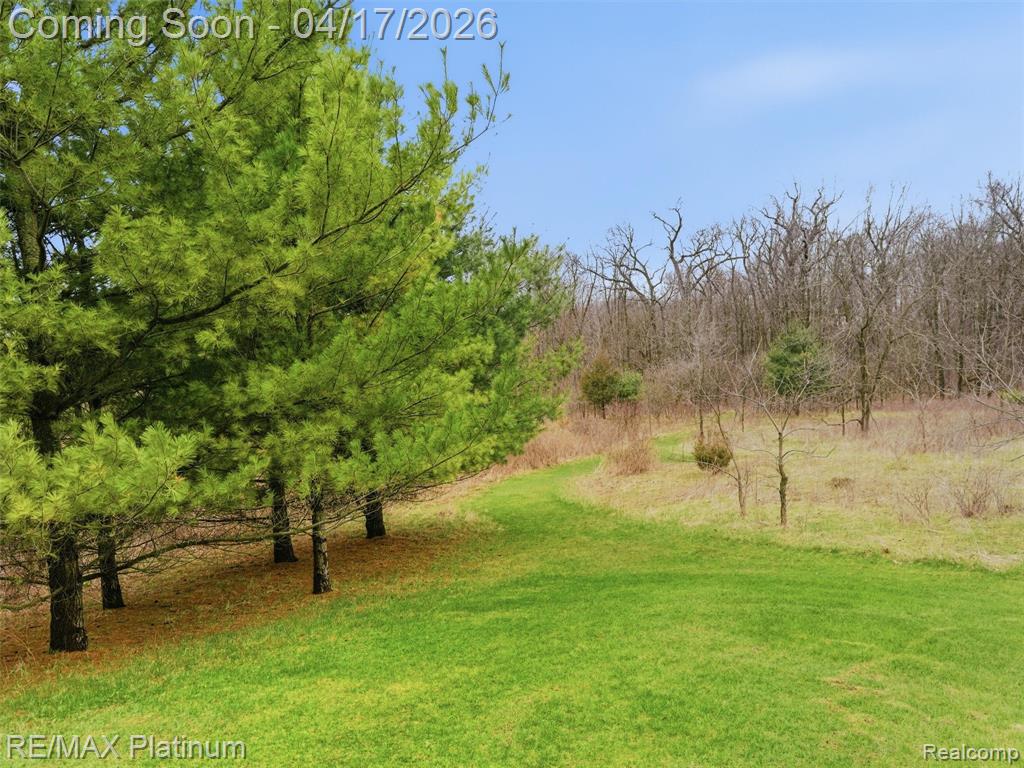 13250 Seymour Road, Gaines Vlg, MI 48436 — Photo 86