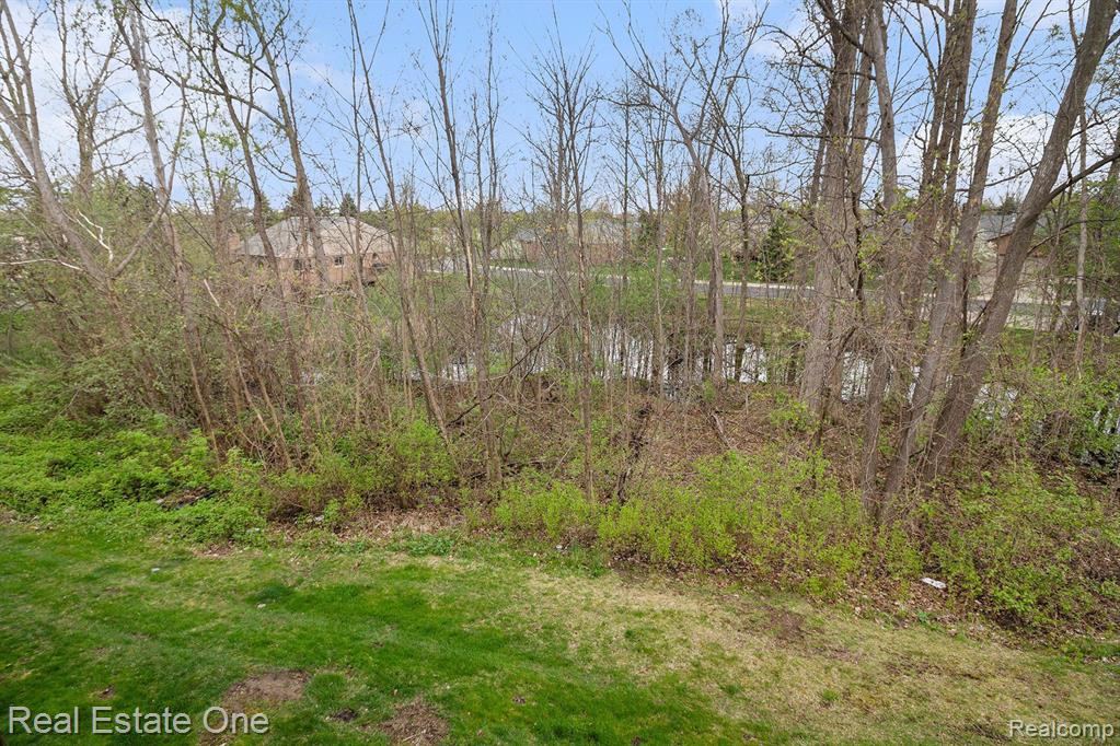 520 N REESE Street, South Lyon, MI 48178 — Photo 25