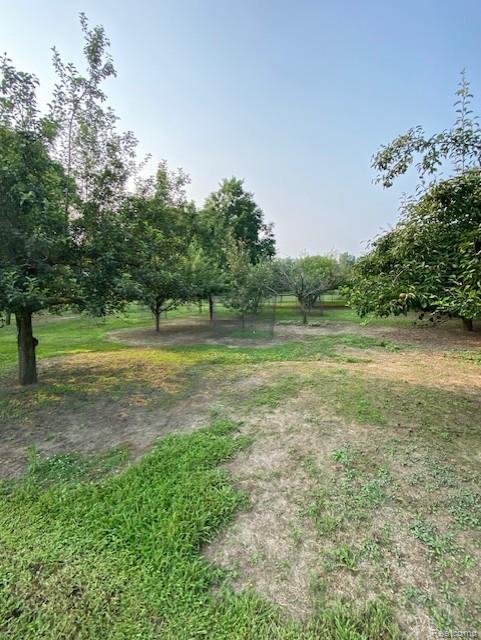 7762 Mason Road, Yale, MI 48097 — Photo 10