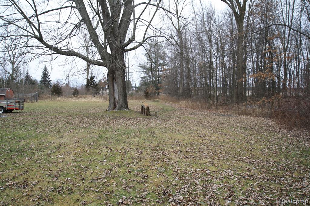 11805 BUECHE Road, Burt, MI 48417 — Photo 18