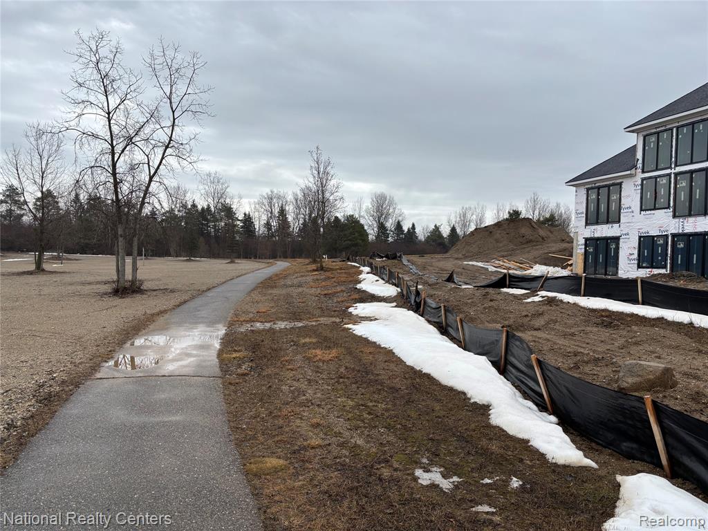 10376 Rosemarie Run Run, Brighton, MI 48114 — Photo 5