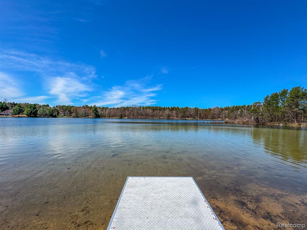 153 TIPPI Trail, Buckley, MI 49620 — Photo 36