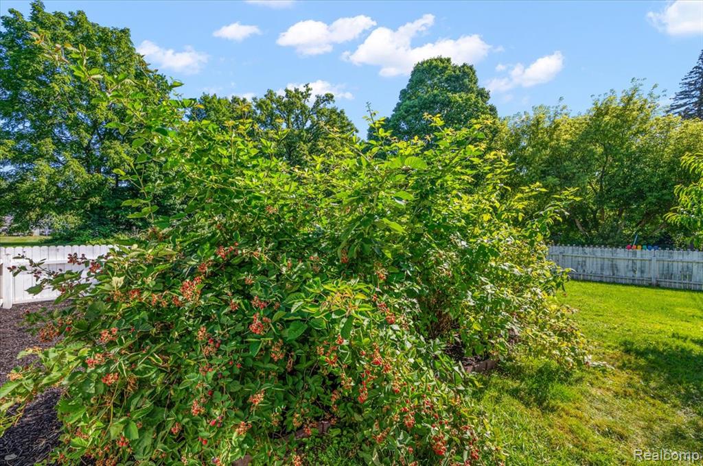 174 W Hollister Street, Romeo, MI 48065 — Photo 5