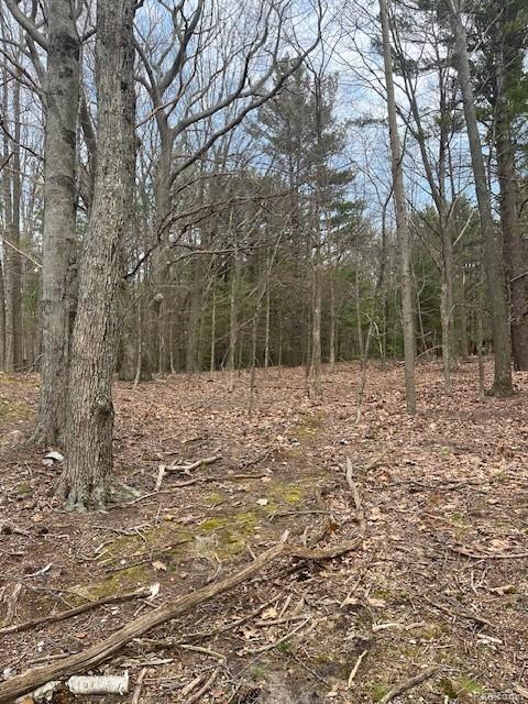 5271 Lake Breeze Drive, Pentwater, MI 49449 — Photo 9