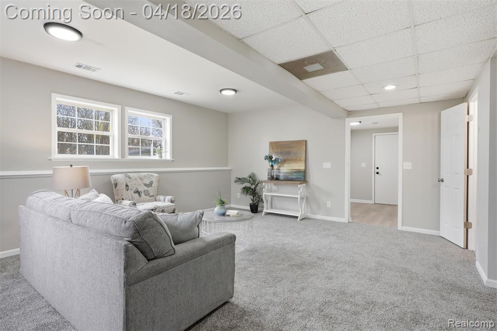 118 Gale Street, Morrice, MI 48857 — Photo 23