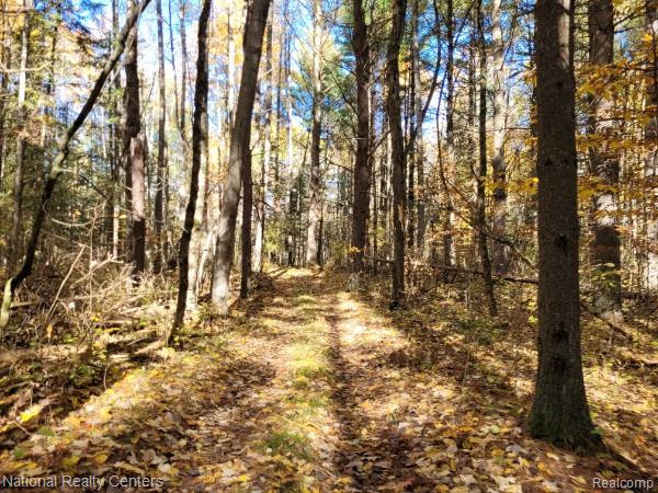 8109 M 55, Whittemore, MI 48770 — Photo 5