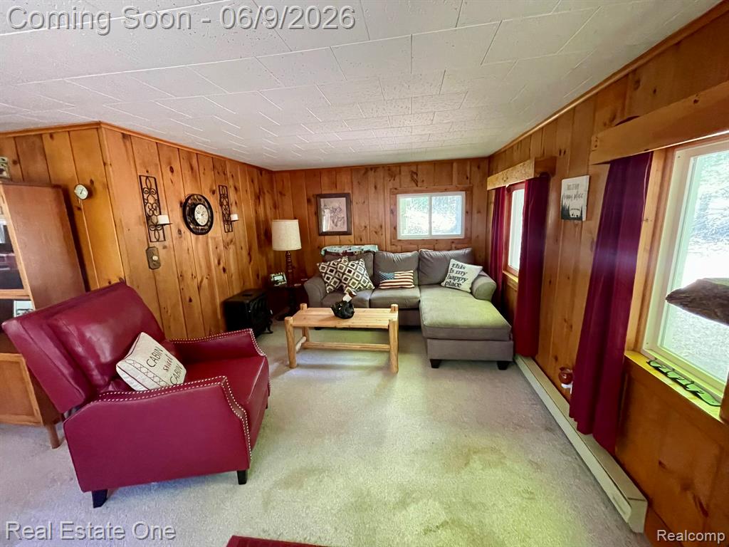 2596 E Fox Road, Lincoln, MI 48742 — Photo 9