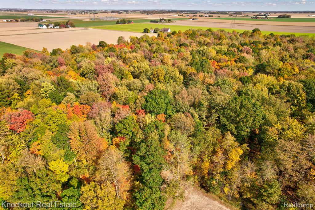 4000 S Reese Road, Frankenmuth, MI 48734 — Photo 11