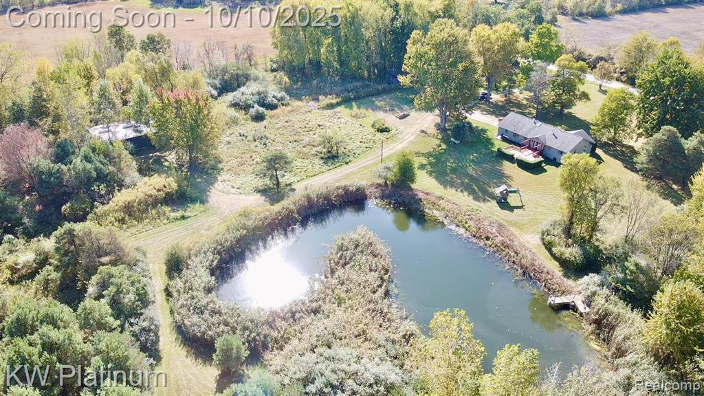 4663 Hessen Road, Casco, MI 48064 — Photo 70