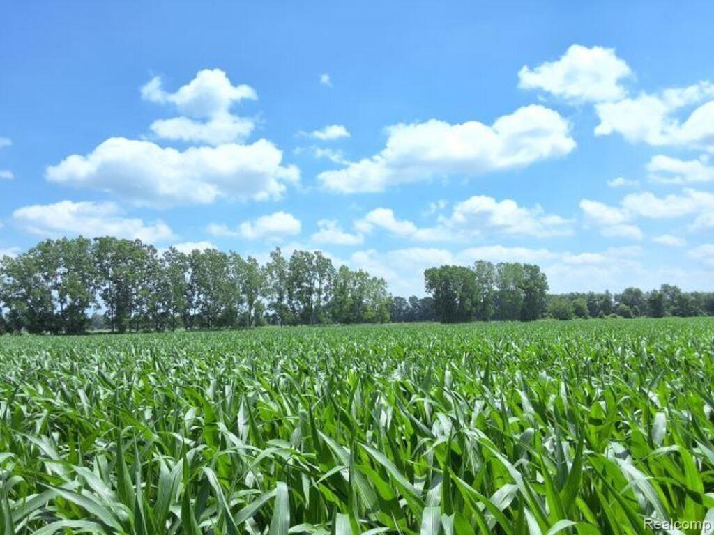 AUCTION Lot 94 acres Capac Road, Capac, MI 48014 — Photo 5