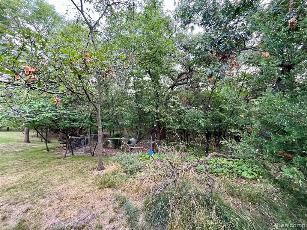 9515 Point Charities Avenue, Pigeon Vlg, MI — Photo 16