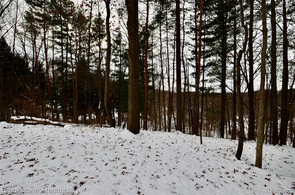 5365 Jacobs Drive, Holly, MI 48442 — Photo 9