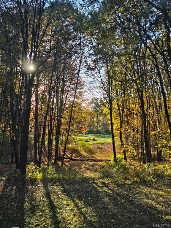 3316 Haynes Road, Leslie, MI 49251 — Photo 66