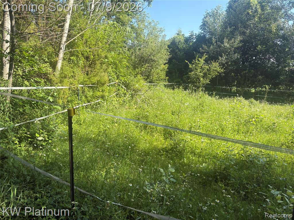 7280 North Road Road, Burtchville, MI 48059 — Photo 37