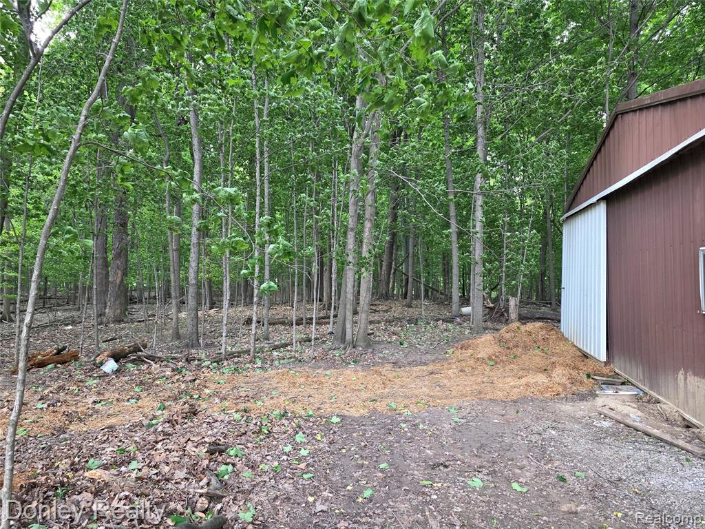 5900 Frenchline Road, Marlette, MI 48453 — Photo 10