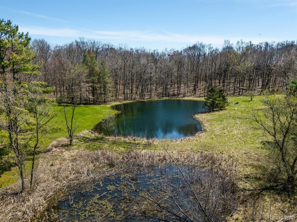 7312 LINDEN Road, Fenton, MI 48430 — Photo 45