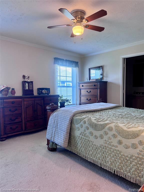 255 Bonita Court, Lapeer, MI 48446 — Photo 19