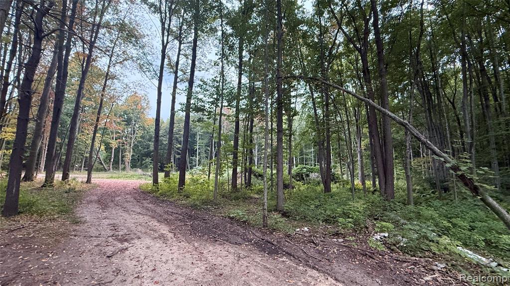 4528 N River Road, Clyde, MI 48049 — Photo 4