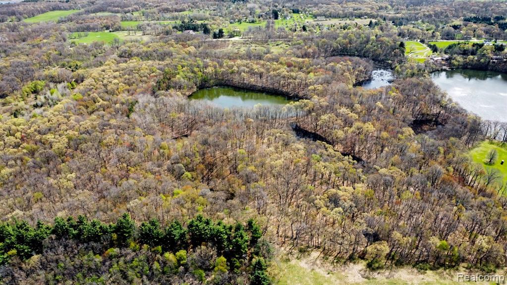 8815 Milford Road, Holly, MI 48442 — Photo 33